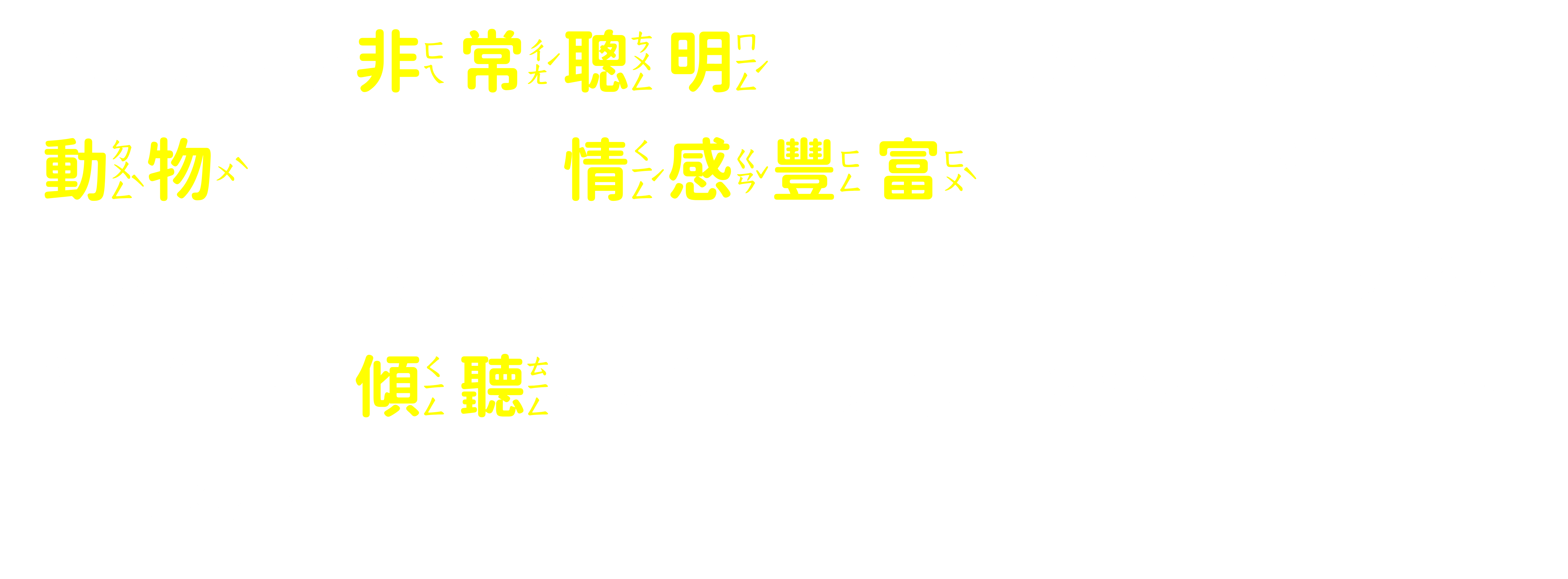 介紹文字